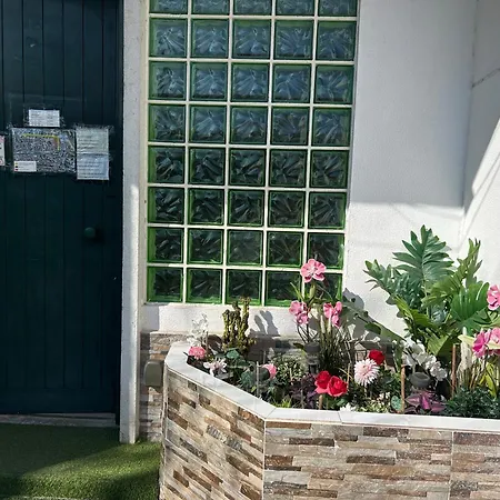 Bing Garden Лиссабон